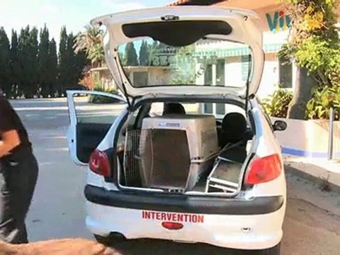 Alliance 4 Sécurité Privée à Alpes-Maritimes