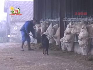 JT Vendée agricole TV du 4 février 2011