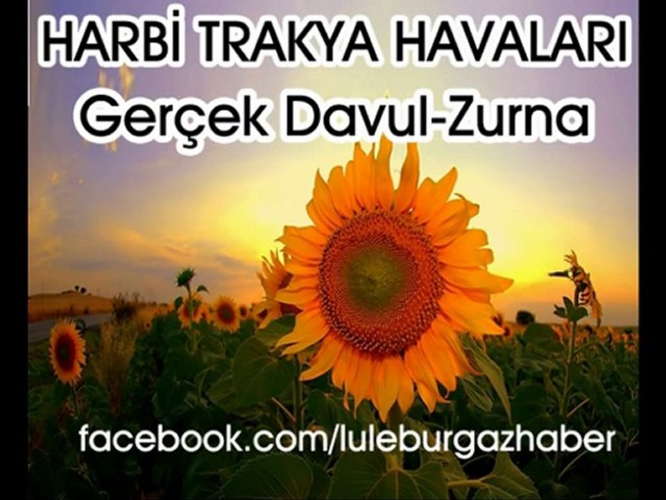 İŞTE TRAKYAMIN DAVULU ZURNASI;TEPSİ TEPSİ FINDIKLAR