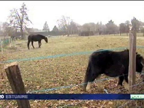 treillieres a cheval, NON AU PEAN...