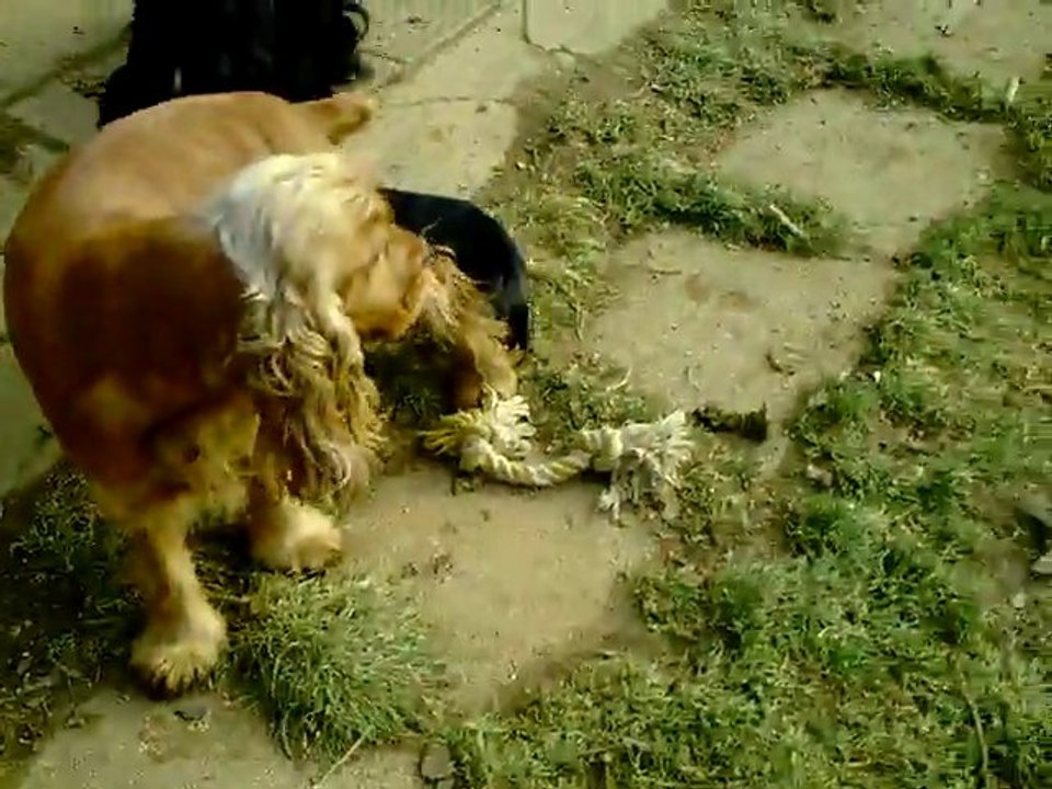 CLIP0046 Fidgy