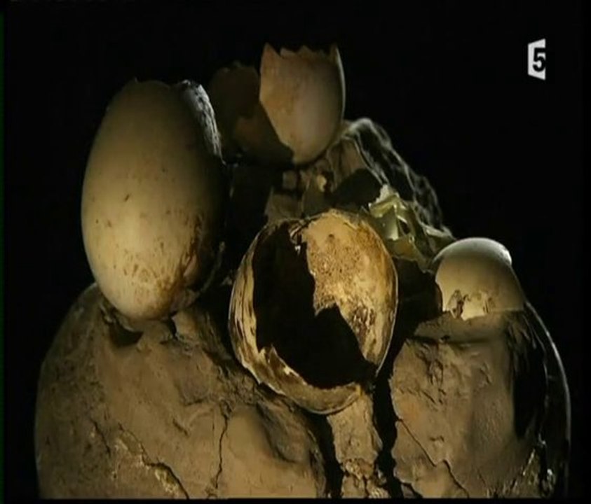 Civilisations disparues : Herculanum 3