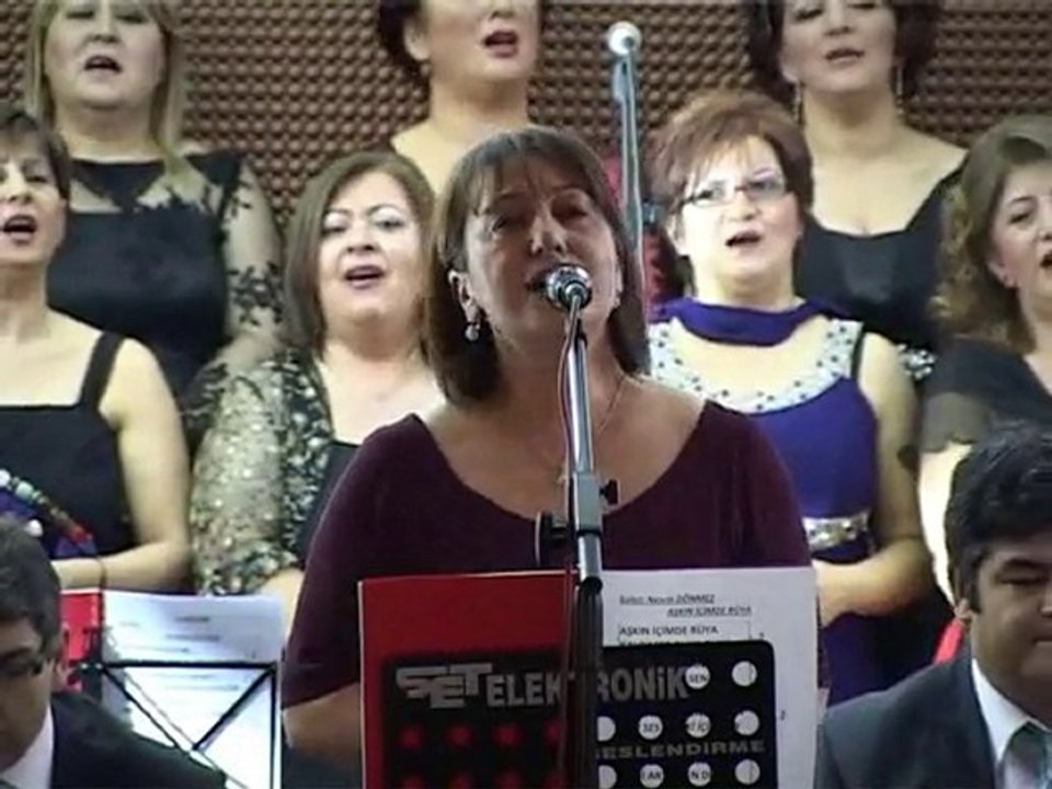 Dsi Türk Müziği Topluluğu  ELÇİN ERTEN