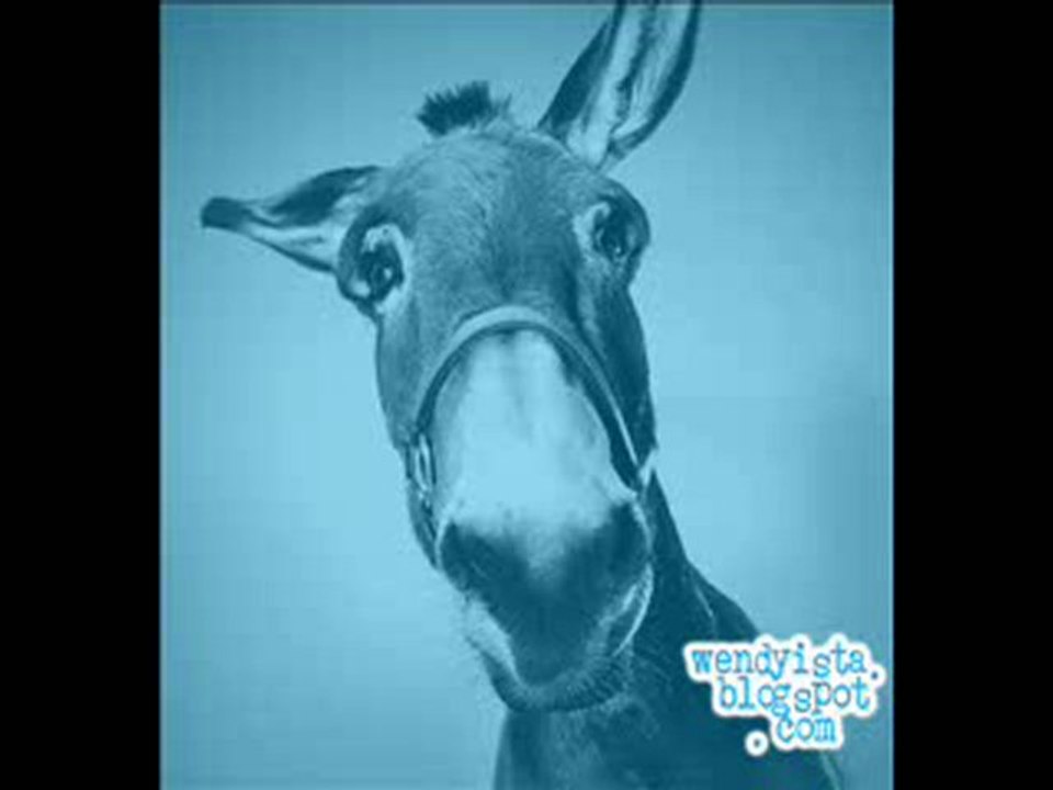hee-haw
