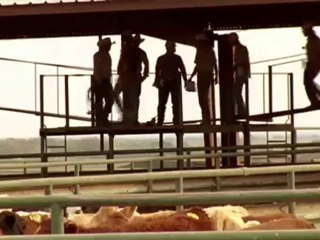 Temple Grandin Trailer