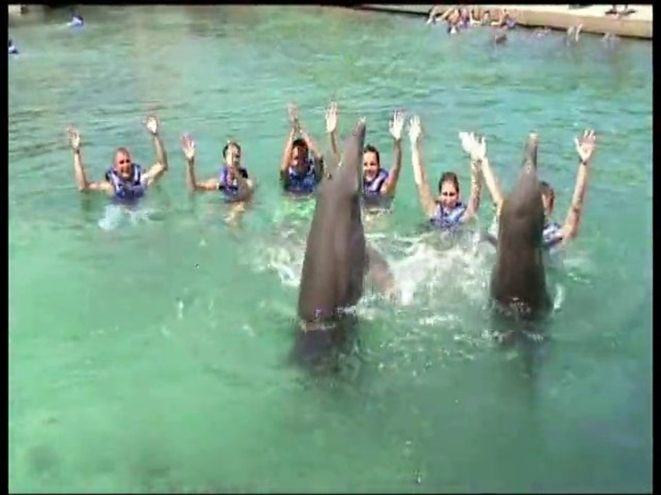 Sidney zwemmen met dolfijnen  in Cancun Mexico zomer 2010