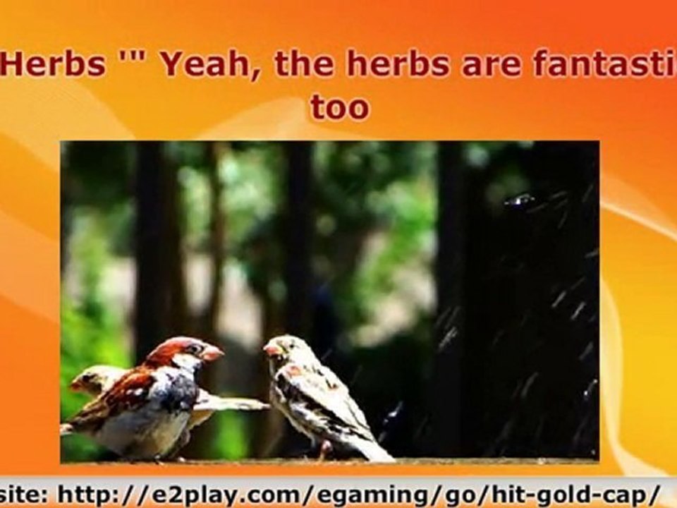 Is Gold Important In World Of Warcraft?