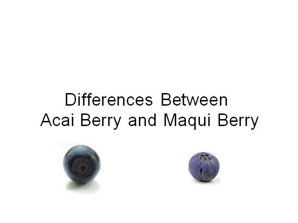 Differences Between Acai Berry and Maqui Berry