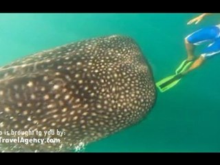 Province Of Sorsogon