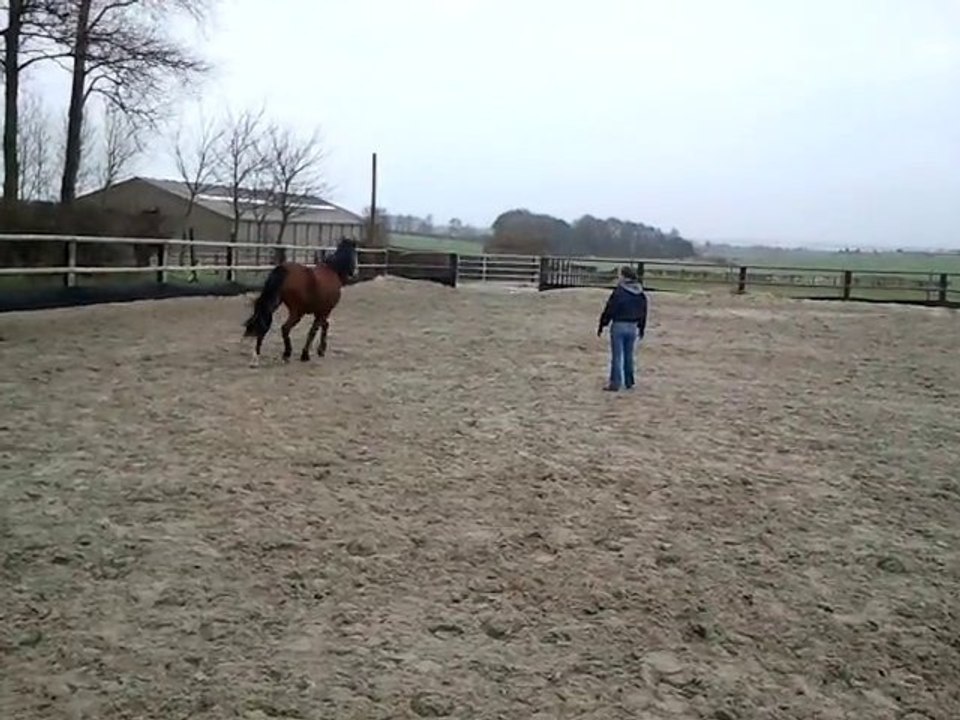 video-2011-02-05-10-08-49
