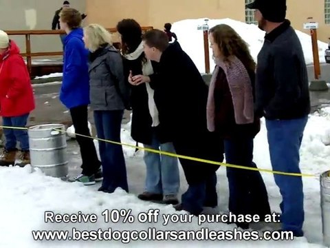 Dog Harness Pulling | Pulling Dog Harness