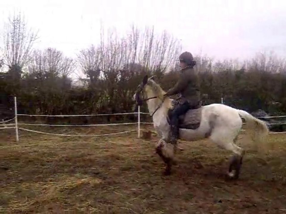 saut trot monté ségo