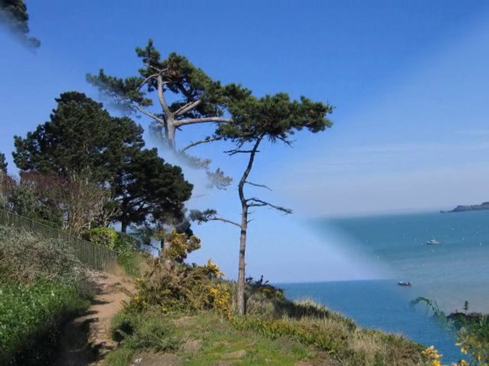 LA POINTE DU GROIN