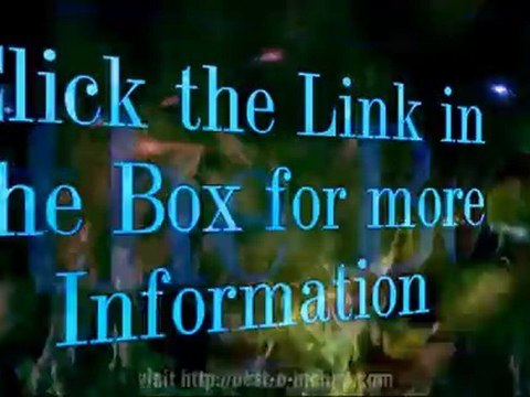 Blogs - How to Blogging