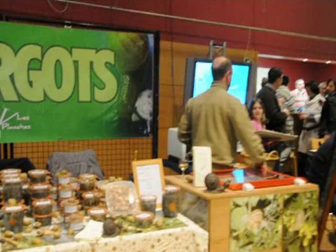 Salon de la gastronomie 2011 du Lions Club (Le Creusot)