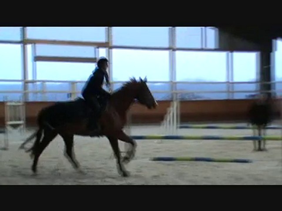 qualité de galop et enchainement gpe 3