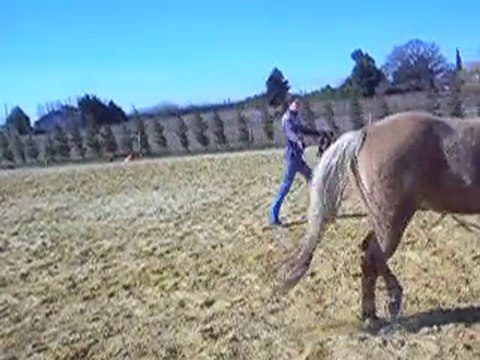 Longe du 5 Fevrier 2011