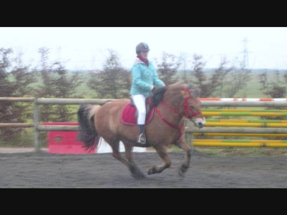 malicejanvier2011