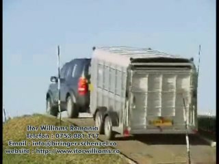 Witter Livestock Friday