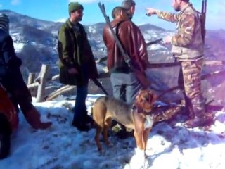 031 2011 5 ocak KALİS DOMUZ AVI