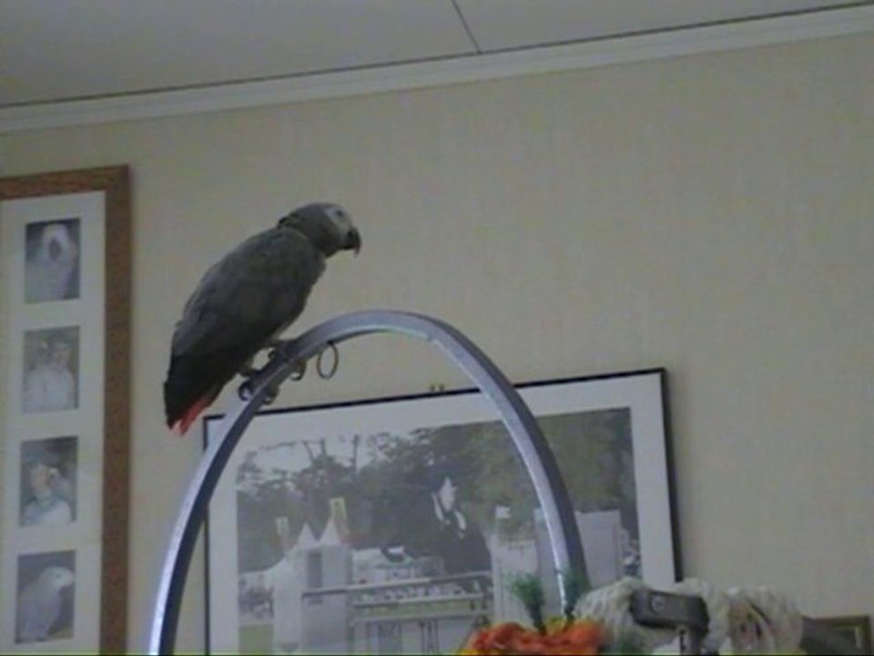 Tsuki c'est des bêtises hein