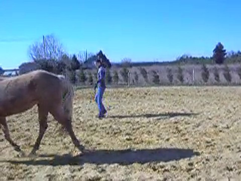 Longe part three 05 02 11