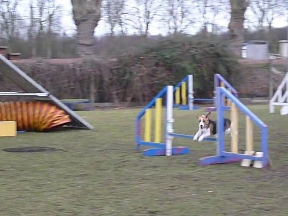 2eme partie un peu mieux realiser !