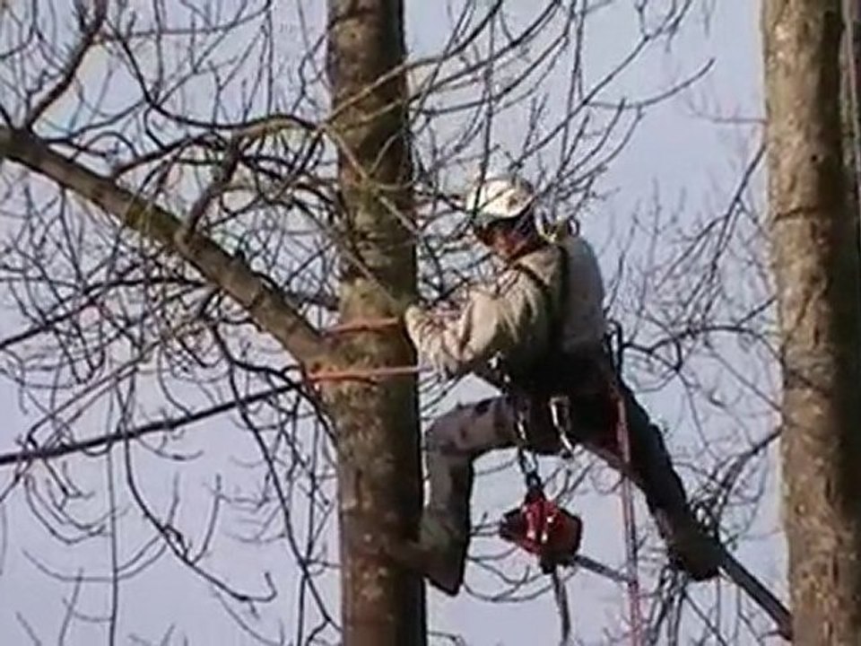 descente