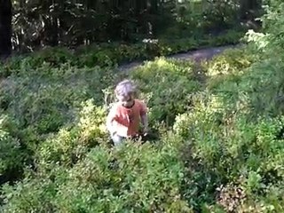 fanny et noé cueillent les myrtilles