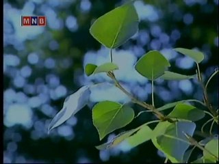 Hetsuu Angi 57.2 by myloverso