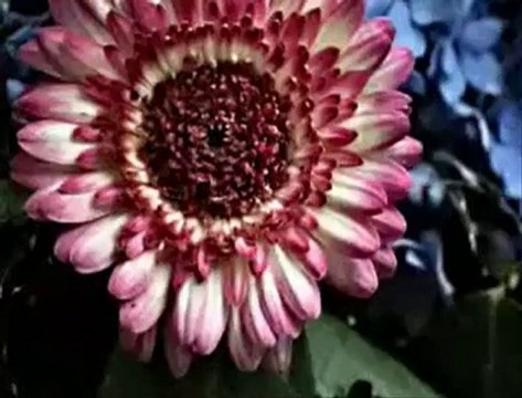 Türk Filmi Fon Müziği (Nostalji)