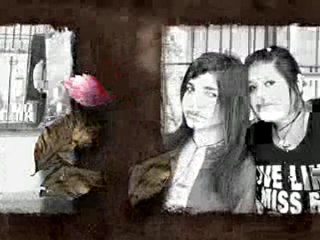 Las zorras de v.p