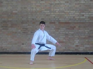 Karate Kata Video Seiunchin