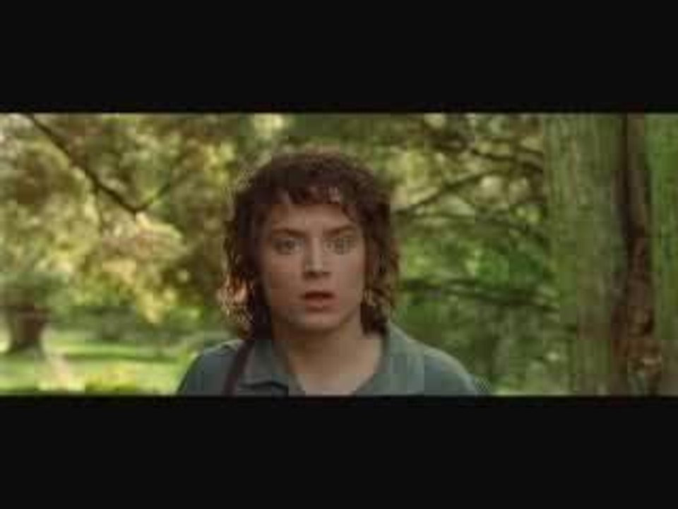 le seigneur des anneaux 1