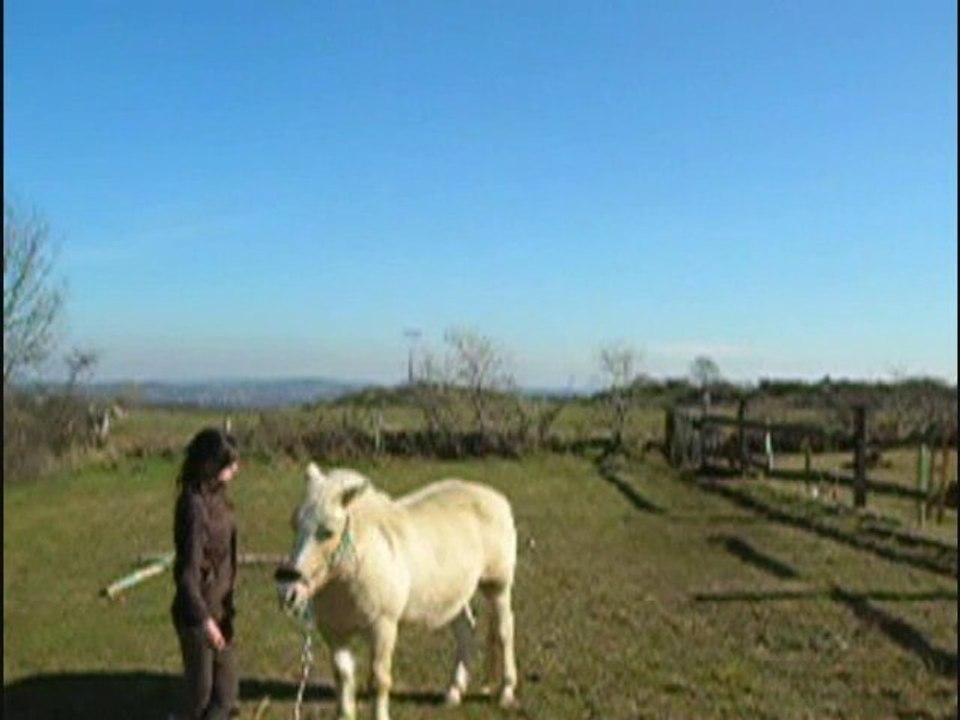 defi n°1 ethol'horse