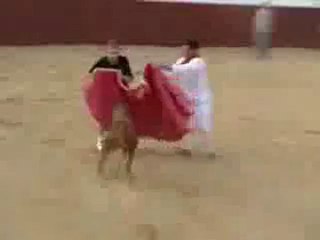 0108 - Régis apprenti Torero