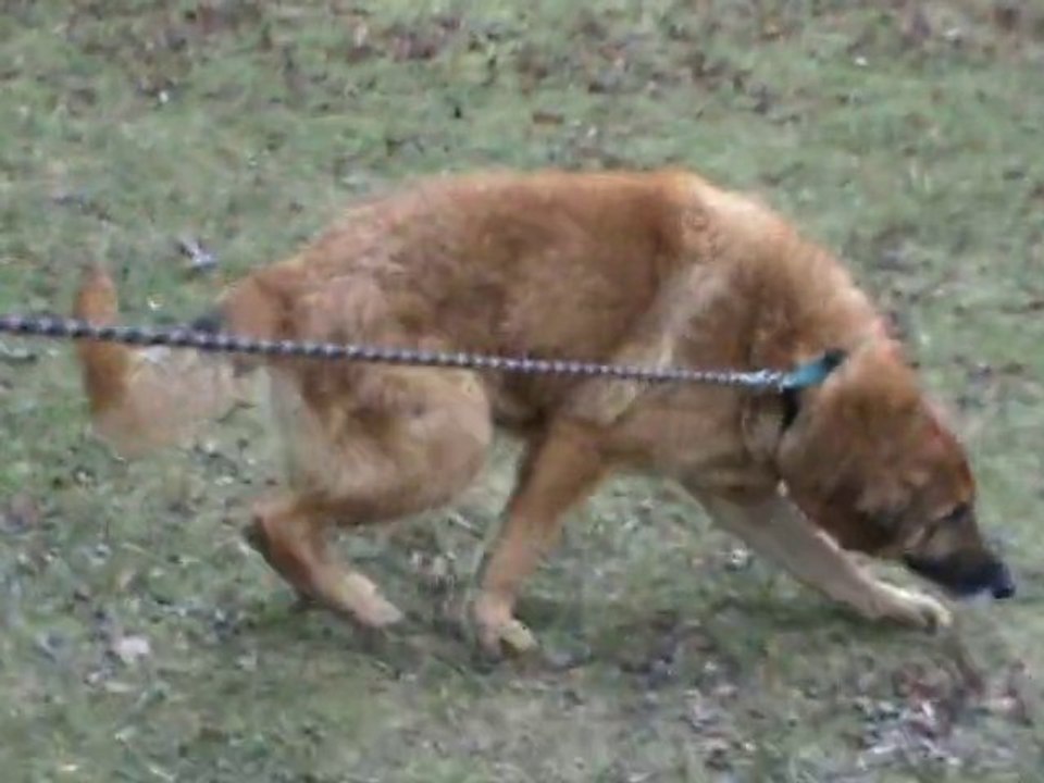 Kenzo