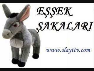 Eşşek Şakaları 8