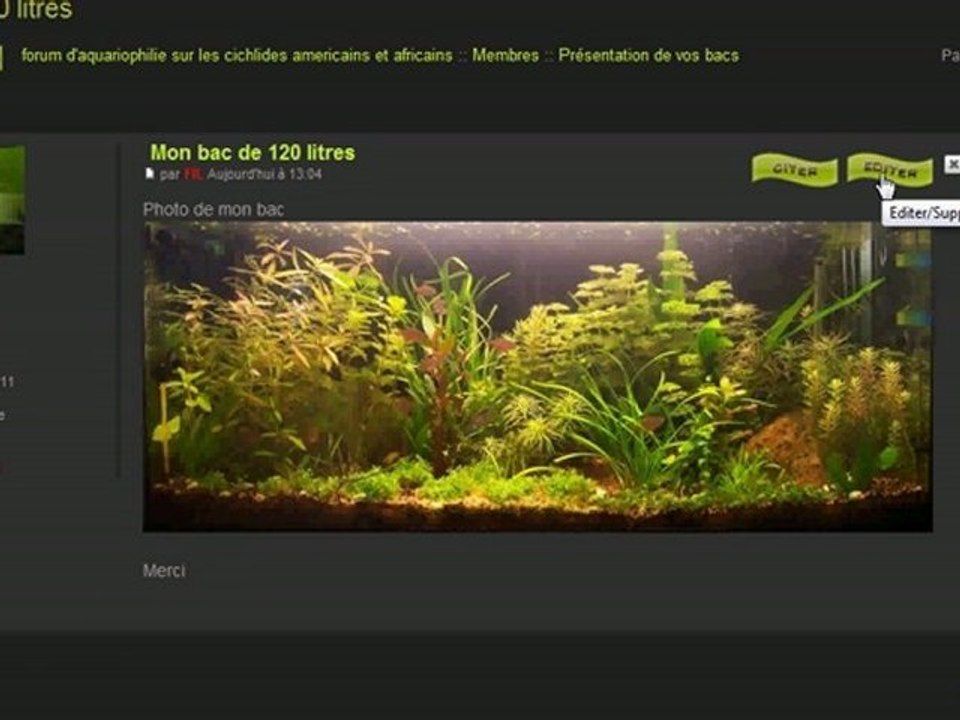 insérer une image