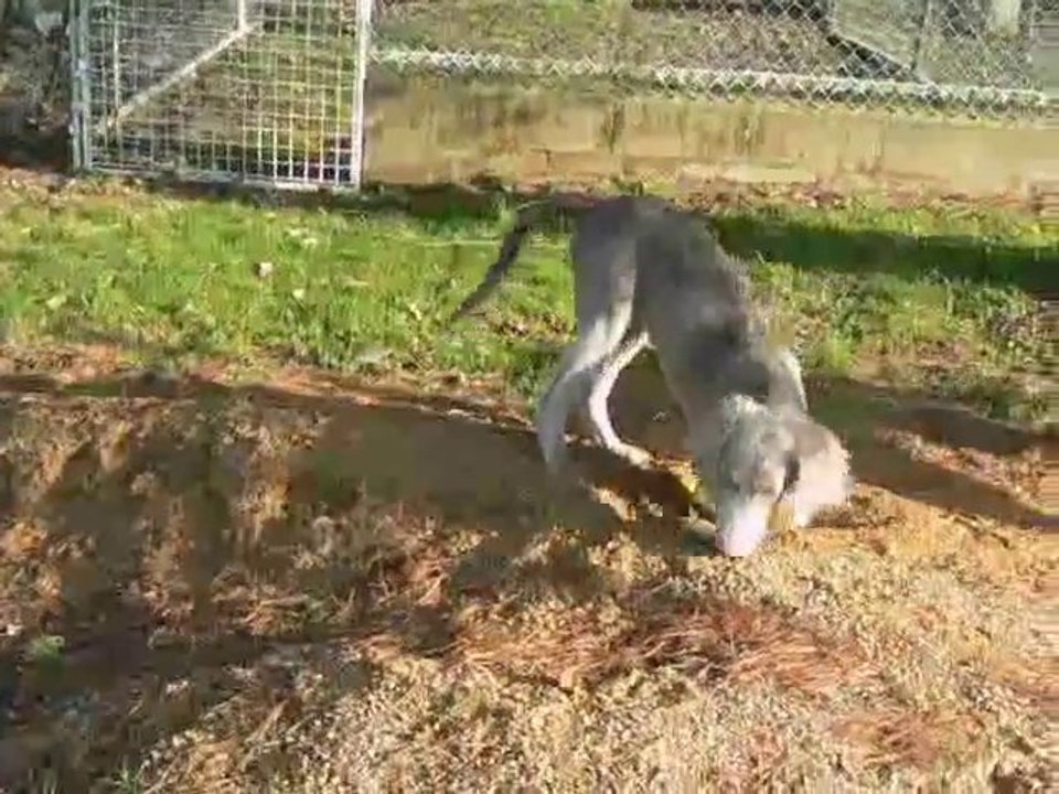 Les DRD'A vous invitent ...