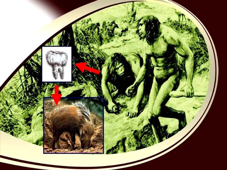 Conférences de Harun Yahya en France - Lyon 19-01-2011 - 4/6