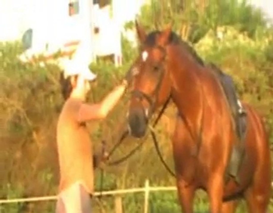 mobilisation hanches sur marche