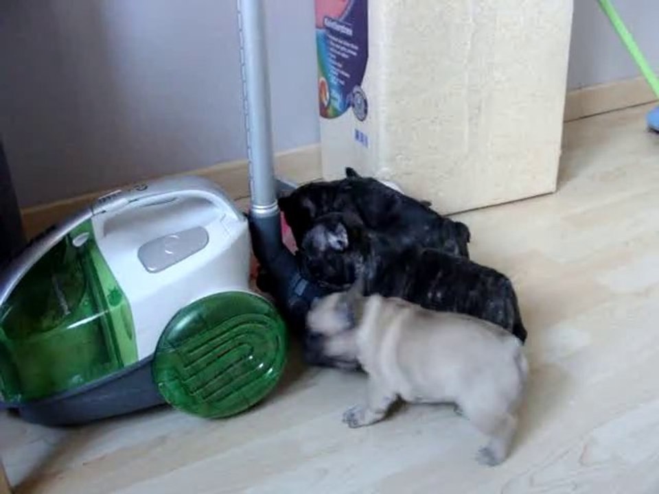 5 semaines (Guiness, Glamour...)