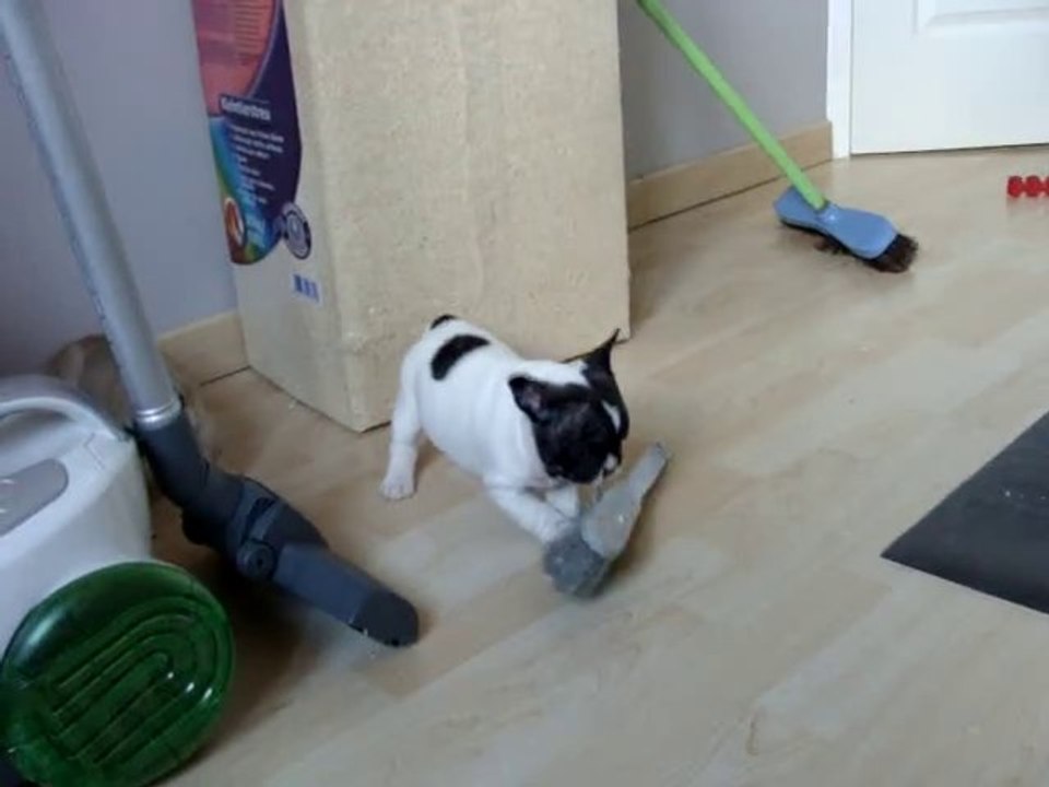 5 semaines (Goliath, Glamour...)