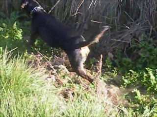 balade du 06 fevrier 2011