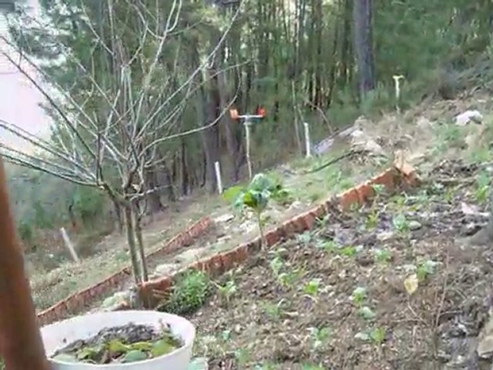 Video Uma Tarde nas Costeiras em 05/02/2011