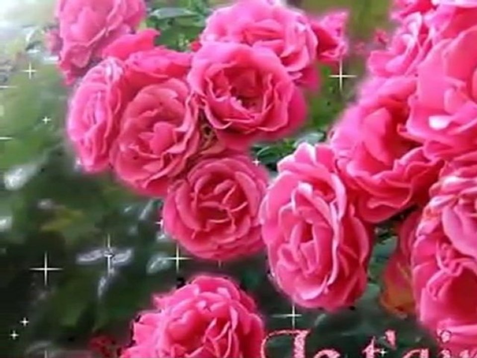 ibrahim sadri(GÜLCE)