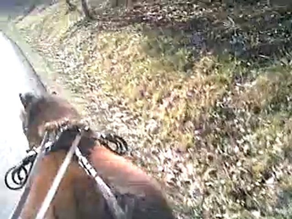 VID 00020-20110206-1341