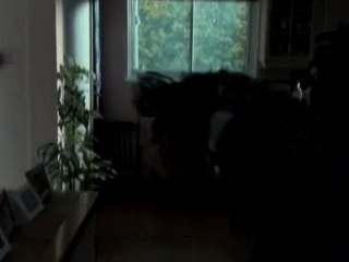 An accident - Extrait An accident (Anglais)