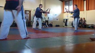 Combat nunchaku ligth